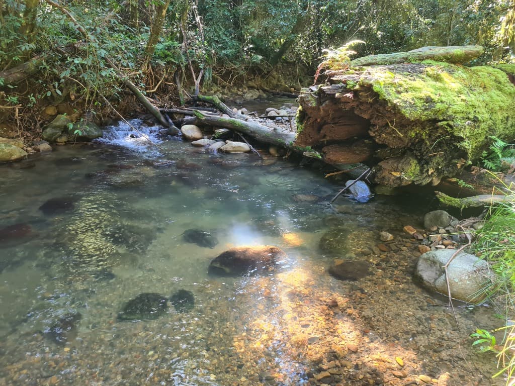 collaborative meeting collaborative meeting